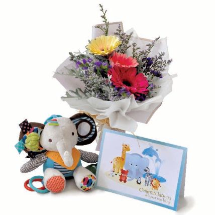 Baby Elephant Rattle And Personalised Baby Congrats Card: Gifts For New Baby