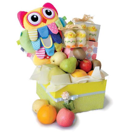 Baby Owl Plushies And Mixed Fruits Baby Shower Hamper:  Gifts Delivery