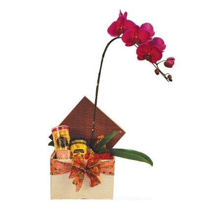 Potted Orchid With Festive Hamper: Gift Combos 
