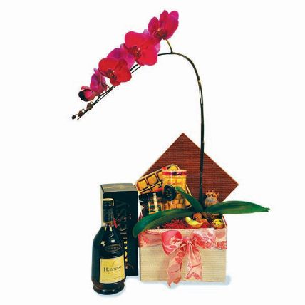 Prosperous Years Orchids Love Box: New Year Gift Ideas