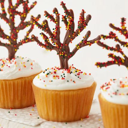 Chocolate Tree Cupcakes 6 Pcs: 