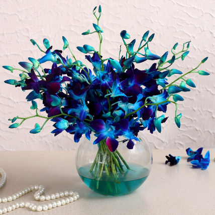 Beautiful Orchids Glass Vase Arrangement: Flower Arrangement