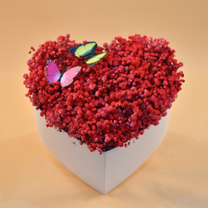Red Baby Breath Heart Shaped Box: Flower Arrangement