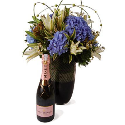 Martinstown Moet and Chandon Champagne with Christmas Flowers: Gifts 