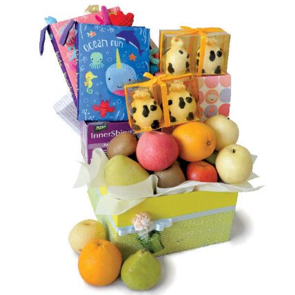 Cloth Playbooks Duo And Mixed Fruits Baby Shower Hamper