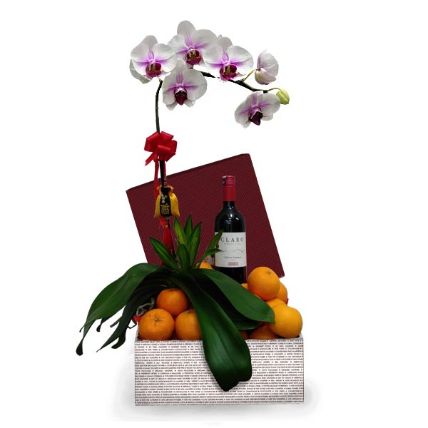 Phalaenopsis Orchid With Tangerinens Wine