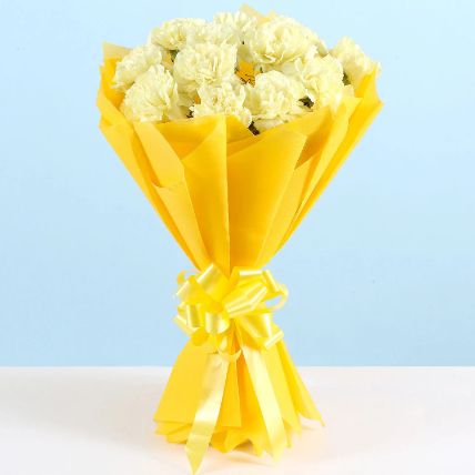 Beautufil carnation handtied bouquet