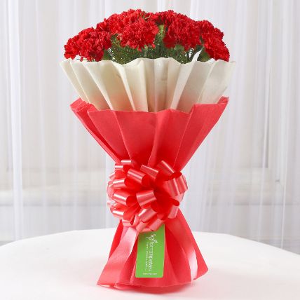 Soulful red carnation bouquet