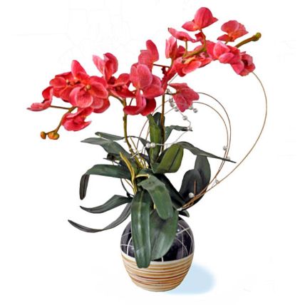 Artificial Phalaenopsis Orchid Pot Arrangement