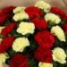 Blooming Red 7 Yellow Carnations Bouquet