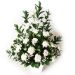 White Carnations In A Vase