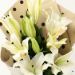 Bright White Oriental Lilies Bouquet