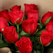 Enigmatic 6 Red Roses Bouquet