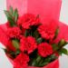 Heavenly 6 Red Carnations Bunch