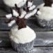 Snowy Cupcakes 6 Pcs