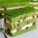 Yummy Green Tea Sponge Cake 1.5Kg