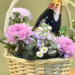 Mixed Flowers & Sparkling Juice Basket