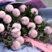 Pink Poms Poms Bouquet