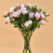 Pink Spray Roses Oval Shaped Vase