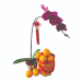 Mandarin Oranges & Orchid Gift Set